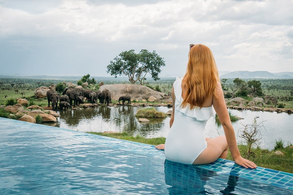 Four Seasons Pool Elephants